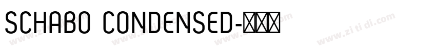 SCHABO CONDENSED字体转换